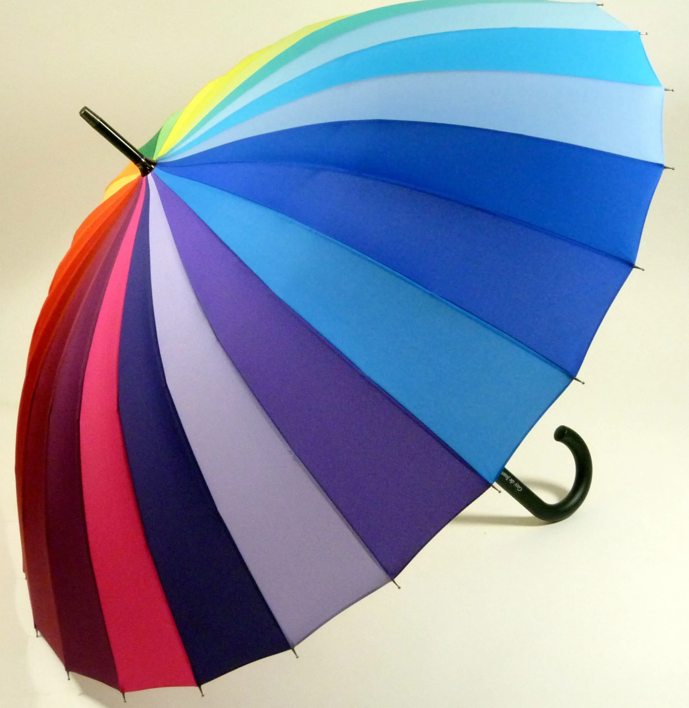 Guy De Jean Arc En Ciel