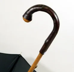 Guy De Jean Chataignier