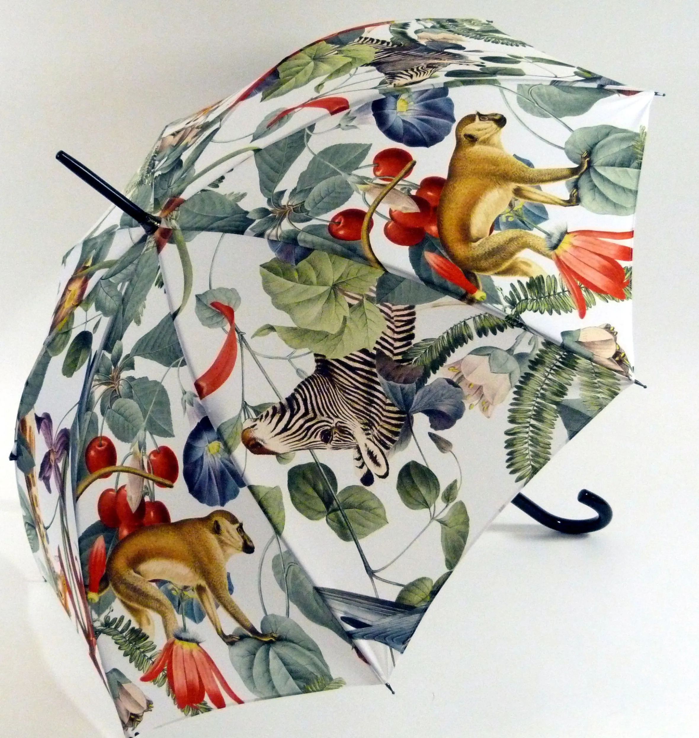 Guy De Jean "Jungle" Ivoire