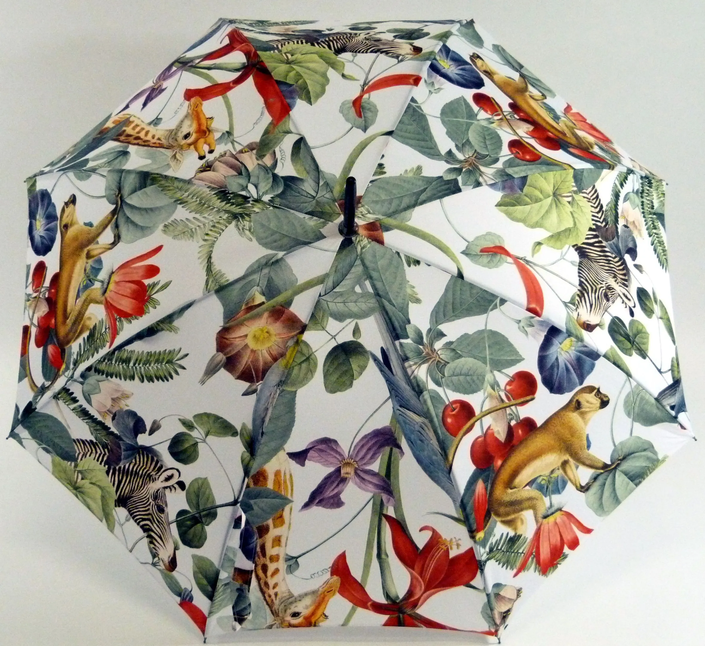 Guy De Jean "Jungle" Ivoire